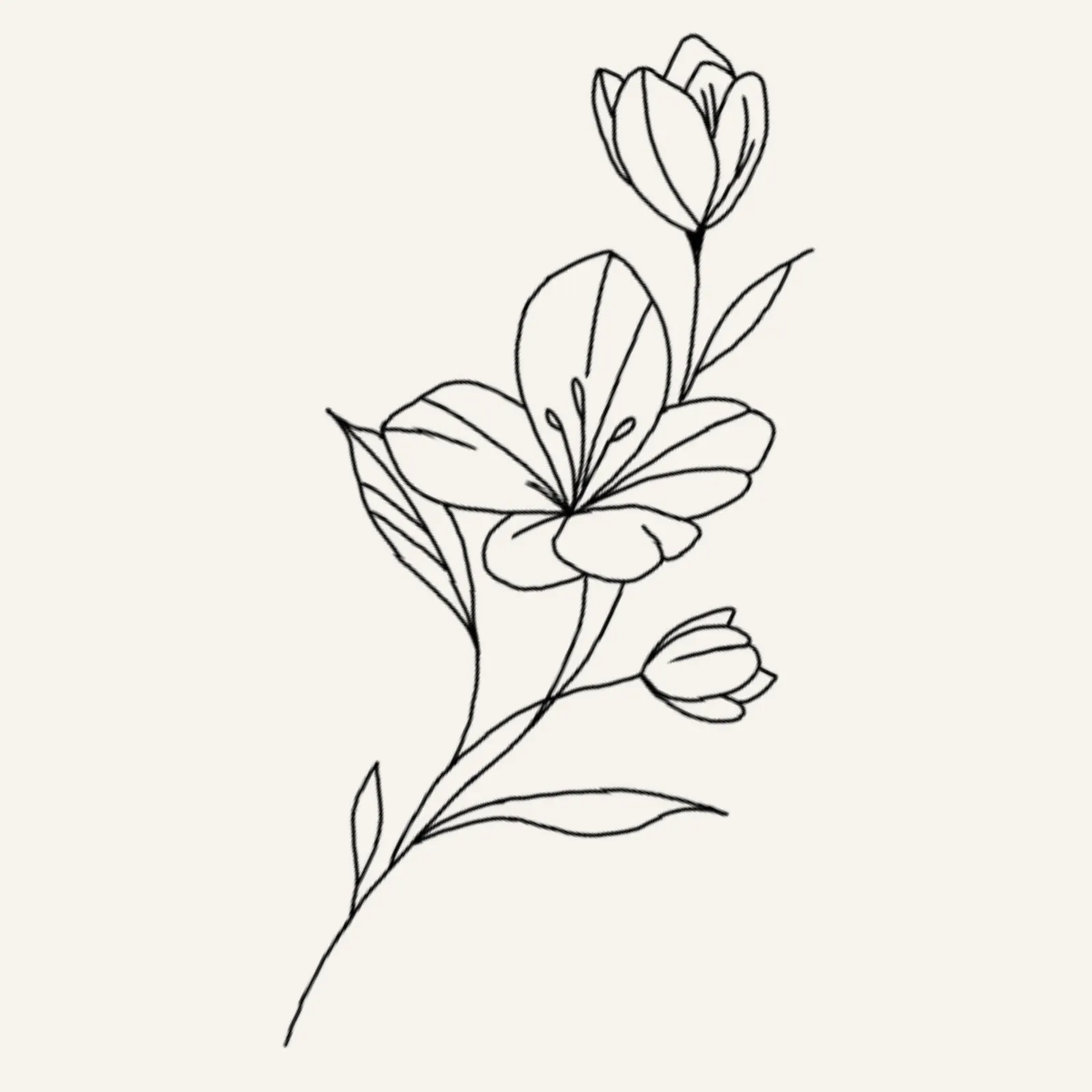 fine line flash tattoo design of a delicate flower with two buds and many leaves