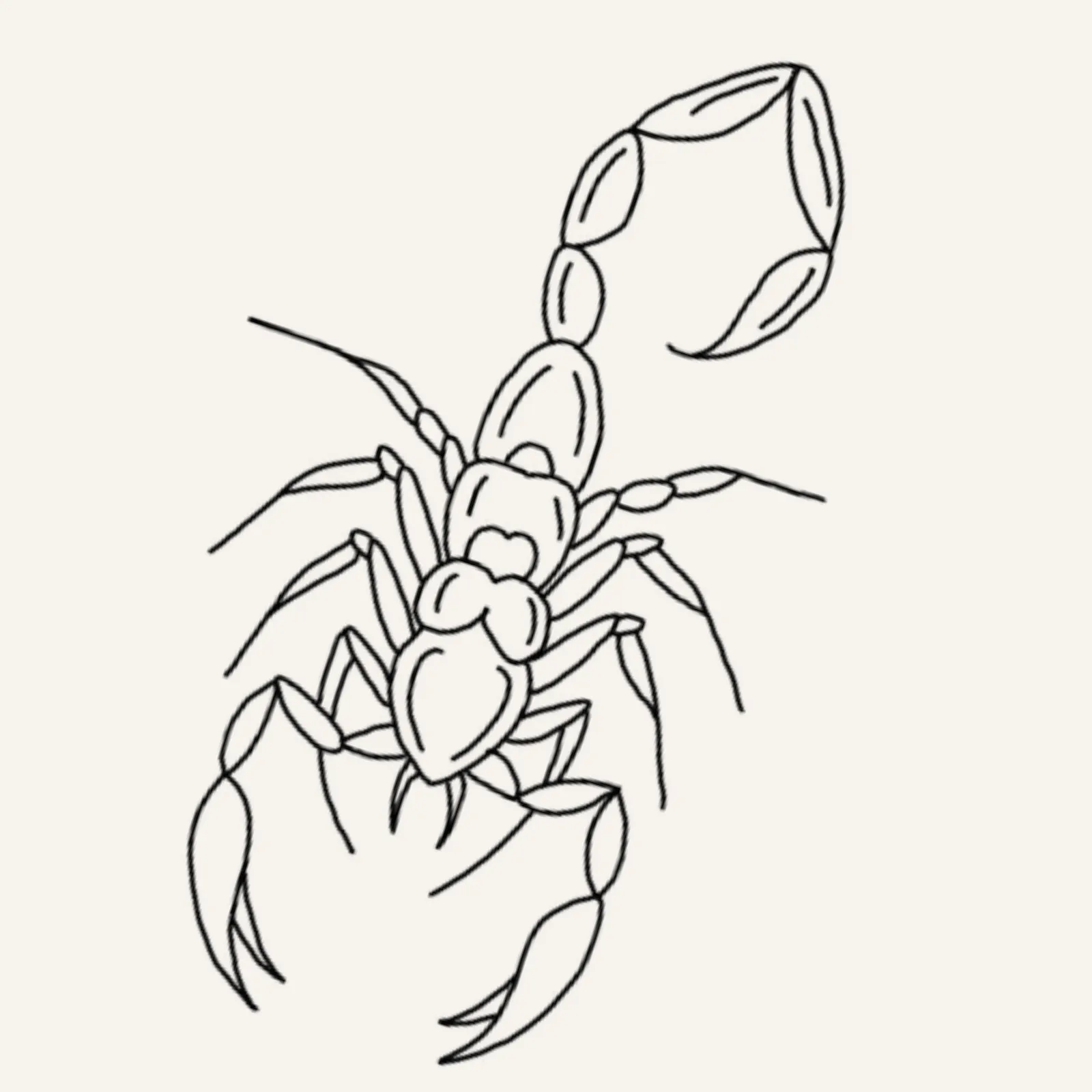 fine line flash tattoo design of a scorpion