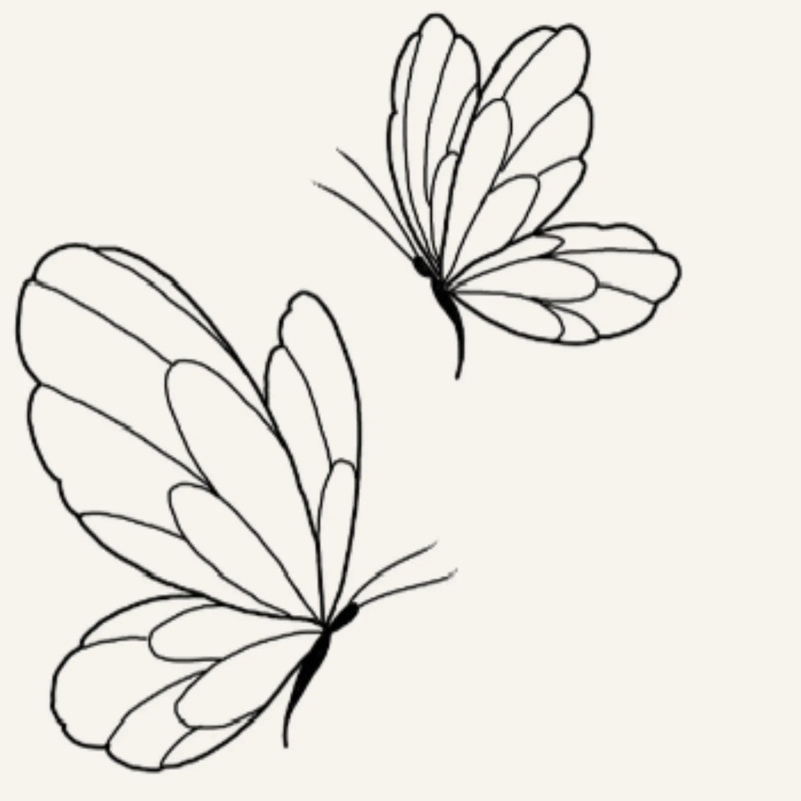 fine line flash tattoo design of two beautifully detailed butterflies with rounded wings